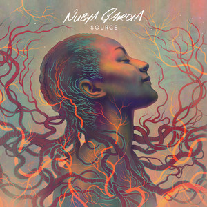 Cover of 'Source' - Nubya Garcia